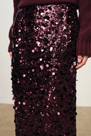 Elodie Hand-Applied Sequin Mesh Midi Skirt in Full Sequin