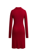 Anja Long Sleeve Dress in Merino Wool Knit